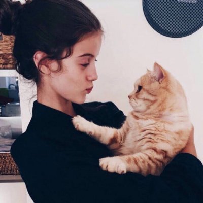 小森林素材铺 第395张.jpg